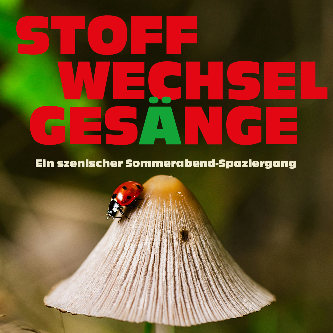 Stoffwechselgesänge